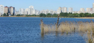 У столиці знищують екосистему озера Вирлиця