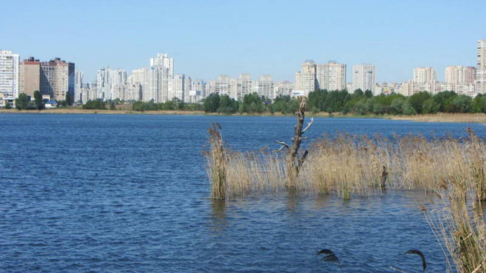 В столице уничтожают экосистему озера Вырлица