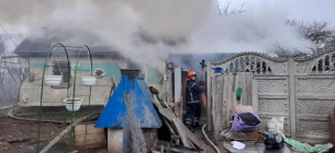 Смертельный пожар: в Ровенской области горел приют, погибли 26 животных (фото)