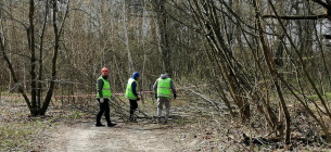 Застройщик начал уничтожать деревья в столичном нацпарке Голосеевский 