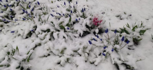 Черкащина та південна Київщина потонули в снігу 