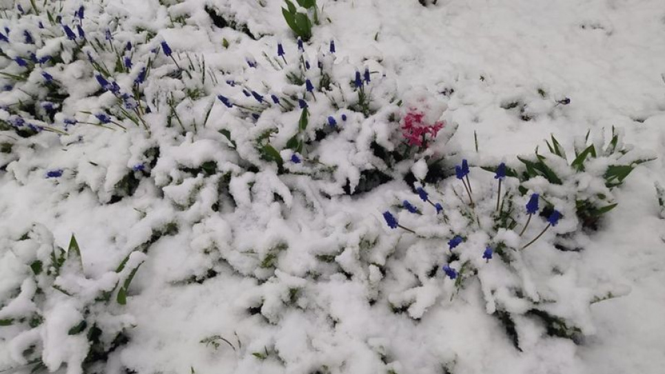 Наприкінці квітня Україну замело снігом (фото, відео) Черкащина та південна Київщина потонули в снігу