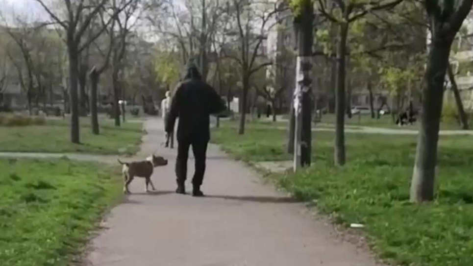 Агресивний чоловік нацьковує свого собаку й змушує пса вбивати слабших тварин