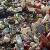 На Харківщині назріває екологогічна катастрофа: річку завалило пластиком. Скріншот з відео