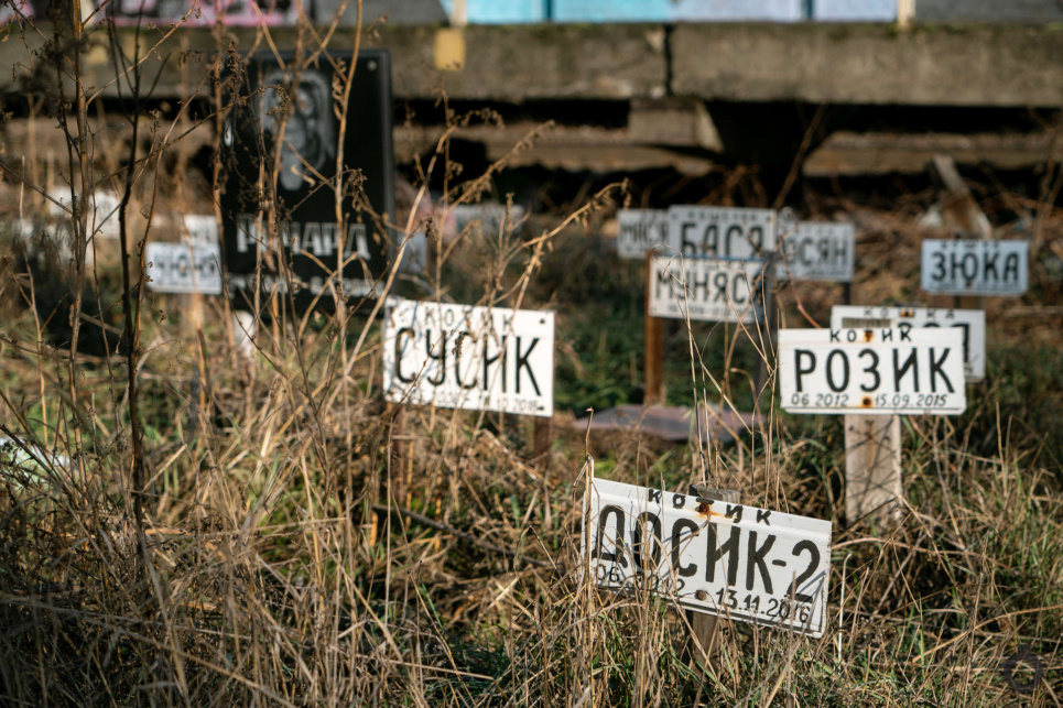 В Киеве ликвидируют кладбище домашних животных на Позняках (фото) На Позняках ликвидируют кладбище домашних животных