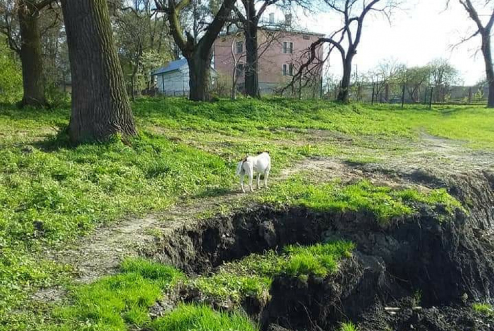 Во Львовской области под угрозой уничтожения оказался дендропарк 