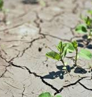 Земельна реформа в призведе до опустелювання в Україні — вчені фото: agro-yug.com.ua