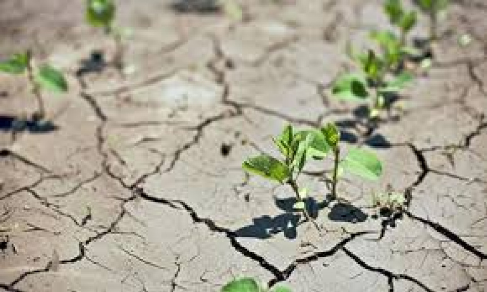 Земельна реформа в призведе до опустелювання в Україні — вчені фото: agro-yug.com.ua