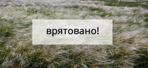 В Николаевской области 182 гектара заповедных степей спасены от вспашки