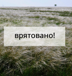 На Миколаївщині 182 гектари заповідних степів врятовані від оранки На Миколаївщині 182 гектари заповідних степів врятовані від оранки