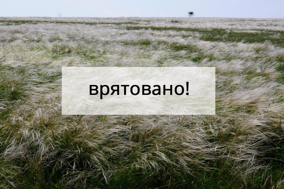 На Миколаївщині 182 гектари заповідних степів врятовані від оранки