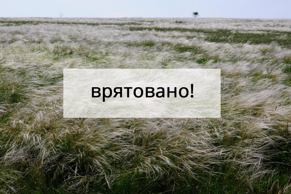 На Миколаївщині 182 гектари заповідних степів врятовані від оранки На Миколаївщині 182 гектари заповідних степів врятовані від оранки