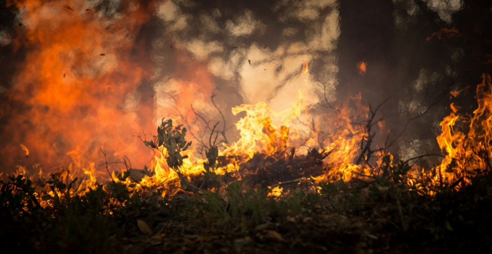Посадовців ДСНС судитимуть за «липові» акти про гасіння пожеж на Луганщині 