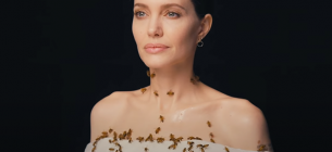 National Geographic снял потрясающий фотопроект в защиту пчел: красавица Джоли и насекомые