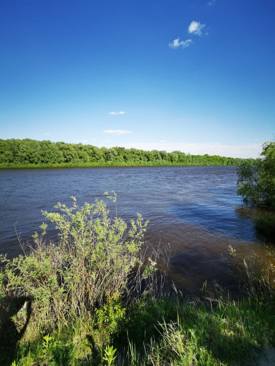 Десна впритул підступає до Чернігова (фото) Фото: Олександр Приходько