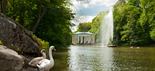 Сьогодні 24 травня Європейський день парків
