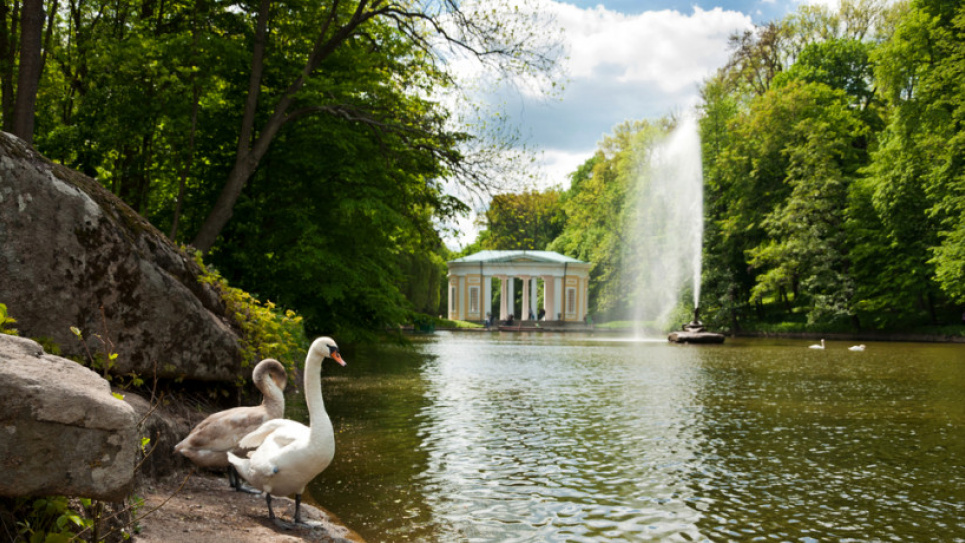 Сьогодні 24 травня Європейський день парків