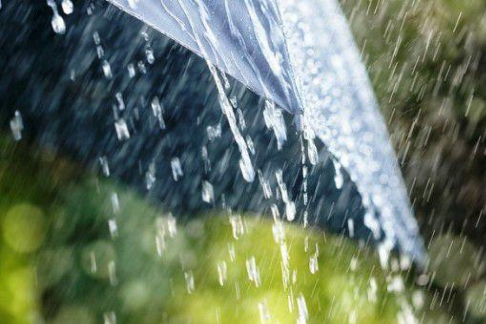 У Швеції затоплено дороги і будинки через сильні дощі Фото: УНН