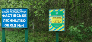 На Київщині розграбували лісгосп: з «Урочища Унава» вивели майже 1 тис га