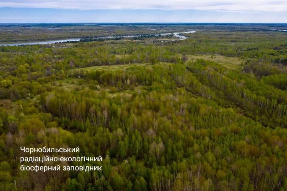 Заповідність заплави Прип’яті знизиться через рішення Кабміну Фото зі сторінки ЧБЗ