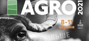 У Києві триває «АГРО-2021»: 12 спецвиставок, автофестиваль з тест-драйвами та кулінарний фестиваль