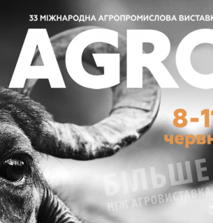 У Києві триває «АГРО-2021»: 12 спецвиставок, автофестиваль з тест-драйвами та кулінарний фестиваль У Києві триває «АГРО-2021»: 12 спецвиставок, автофестиваль з тест-драйвами та кулінарний фестиваль