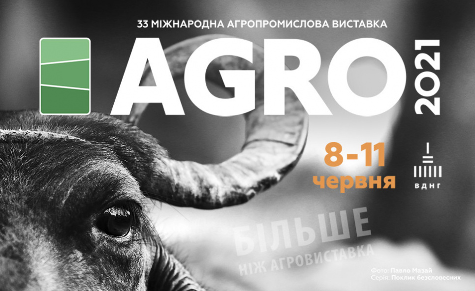 У Києві триває «АГРО-2021»: 12 спецвиставок, автофестиваль з тест-драйвами та кулінарний фестиваль