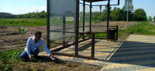 На 12 зупинках біля Луцька отрутохімікатами знищили чорнобривці. Фото: Суспільне