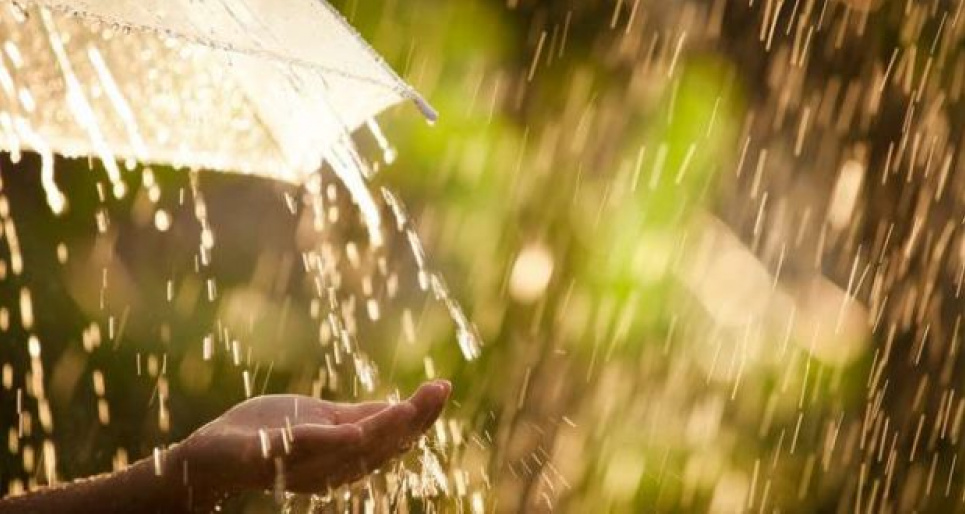 Коли припиняться дощі: синоптики дали прогноз Фото: Рівненські новини
