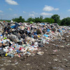 Фото: Госэкоинспекция 
