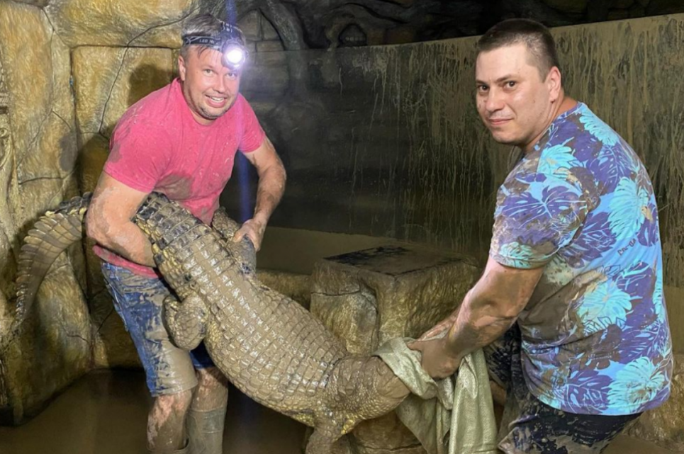 У Ялті ловлять 70 крокодилів, які вирвались на волю після затоплення міста (фото, відео) Фото : espreso.tv