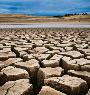 Загрожує врожаю Кліматичні зміни Засуха Повені Зниження врожаності