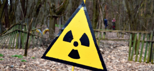 У ДНК чорнобильських собак науковці виявили унікальні зміни