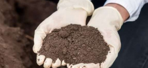 Сахарорафинадный завод в Черкасской области отравил землю токсичными веществами