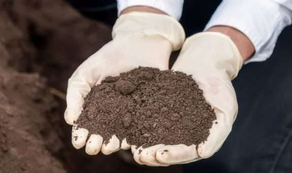 Сахарорафинадный завод в Черкасской области отравил землю токсичными веществами
