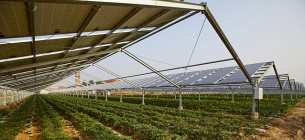Португалия выделяет фермерам 10 млн евро на строительство солнечных станций