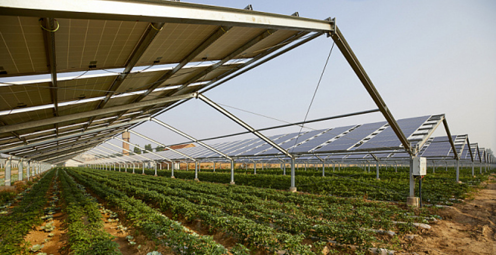 Португалія виділяє фермерам 10 млн євро на будівництво сонячних станцій