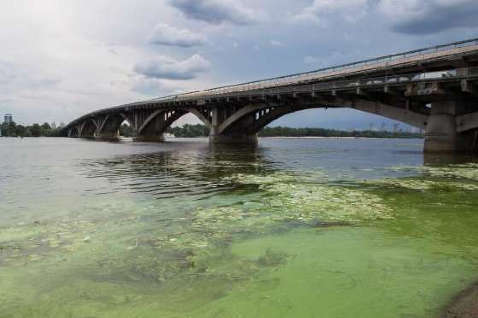 Кадмій, ртуть, гербіциди: поверхневі води Дніпра непридатні для купання – знайдено 161 забруднювач Фото: Главком