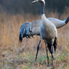Фото: Укринформ