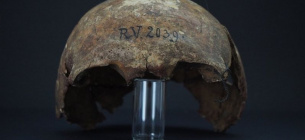 Скелет знайшли у Латвії ще у XIX столітті, але генетичний аналіз провели лише зараз