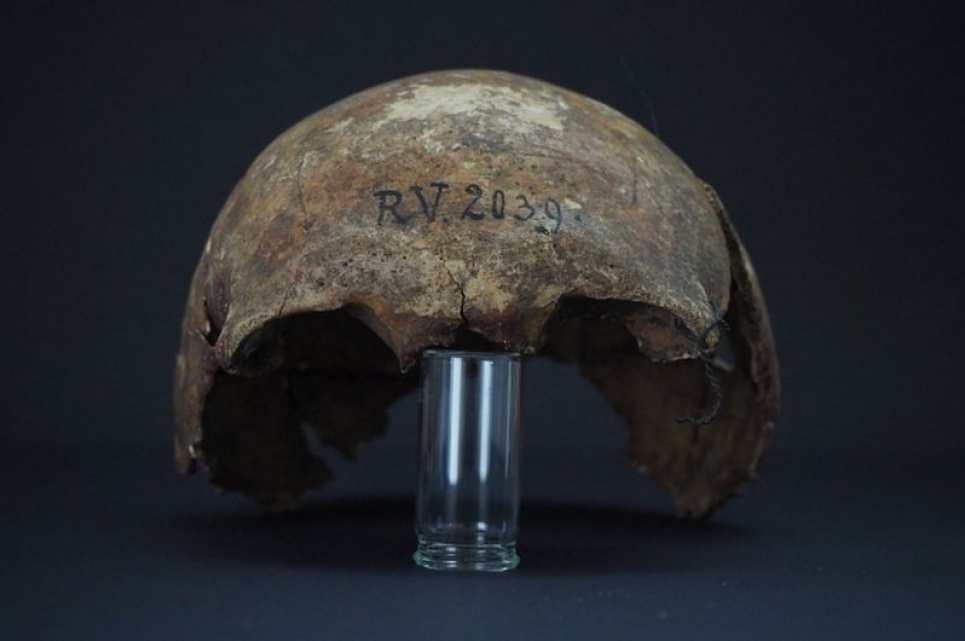Скелет знайшли у Латвії ще у XIX столітті, але генетичний аналіз провели лише зараз