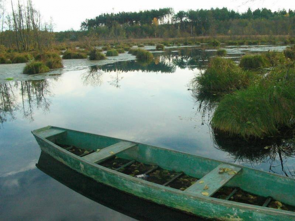 На Черниговщине есть источники, вода в которых в любое время года держит температуру +6 ° С (фото, видео)