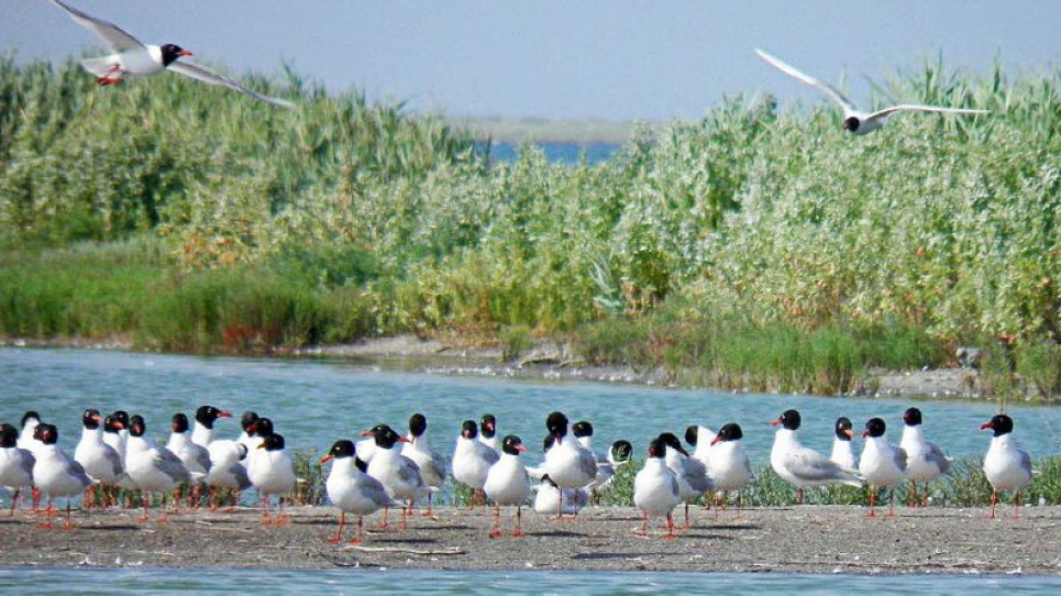 На Херсонщині відкривають п'ять нових туристичних маршрутів На Херсонщині відкривають п'ять нових туристичних маршрутів