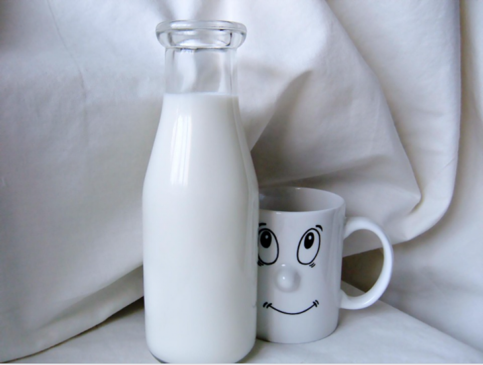 Молочные продукты или сахар: ученые рассказали, как улучшить результаты тренировок