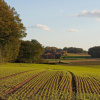Фото:
Agri-gator