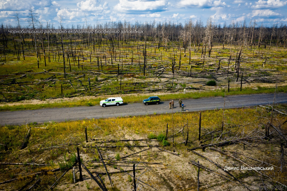 Фото Дениса Вишневського.