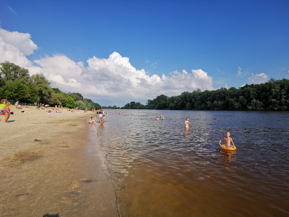 Водойми України Забруднення води Дослідження чистоти води 