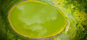 В Чорнобилі знайшли озеро дивовижної форми та кольору
