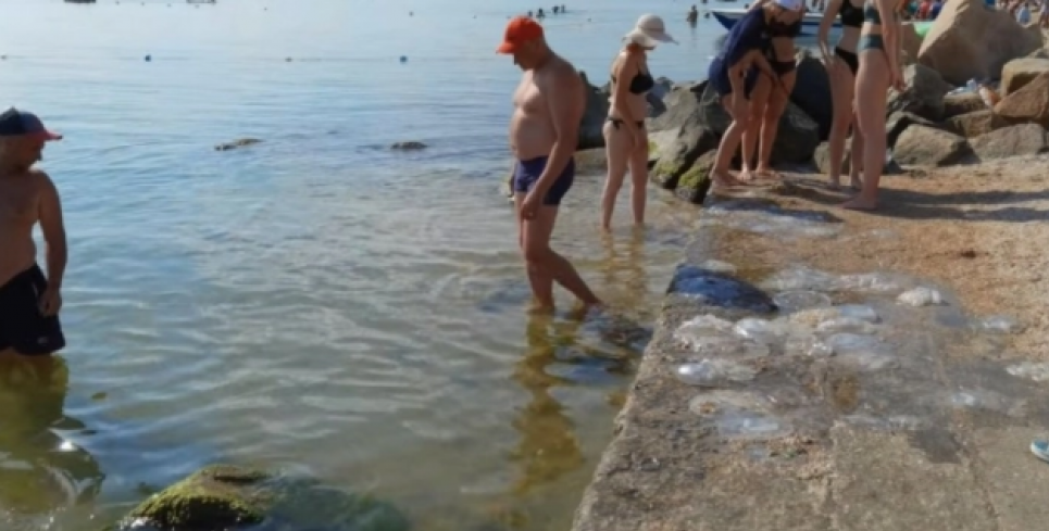 Азовське море кишить медузами: сморід, бруд та мільйони сонечок лізуть в рот (ВІДЕО) Азовське море кишить медузами: сморід, бруд і мільйони сонечок лізуть до рота