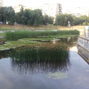 Озеро Голубое. Фото: КЭКЦ